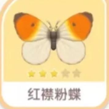 心动小镇红襟粉蝶位置