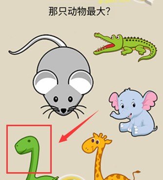 疯狂最强脑洞第12关怎么玩