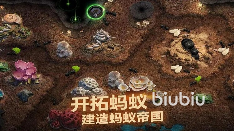 小小蚁国怎么上阵蚂蚁 蚂蚁上阵攻略一览