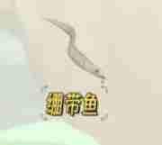 《心動(dòng)小鎮(zhèn)》繃帶魚釣魚攻略