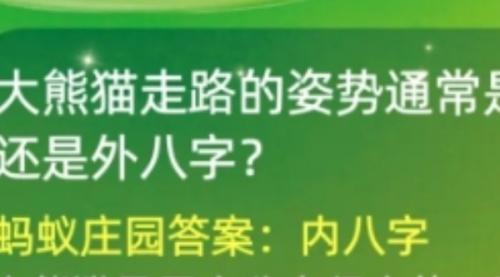 大熊貓走路的姿勢(shì)通常是內(nèi)八字還是外八字