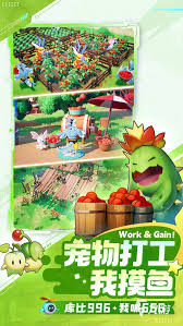 曙光重臨如何完美開局