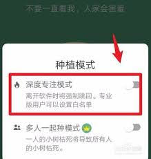 百度網(wǎng)盤mts格式用什么播放器