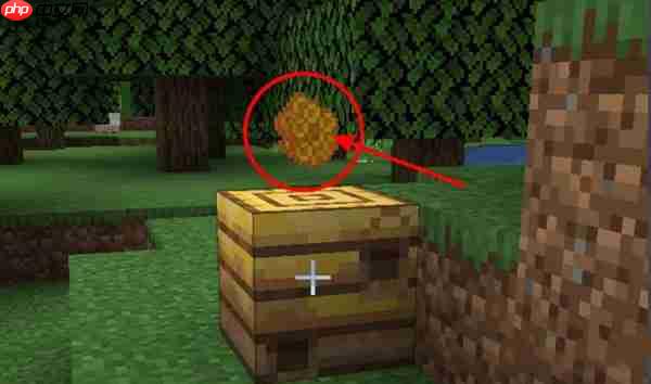 我的<strong>天天彩穩(wěn)賺技巧</strong>世界養(yǎng)殖蜜蜂方法