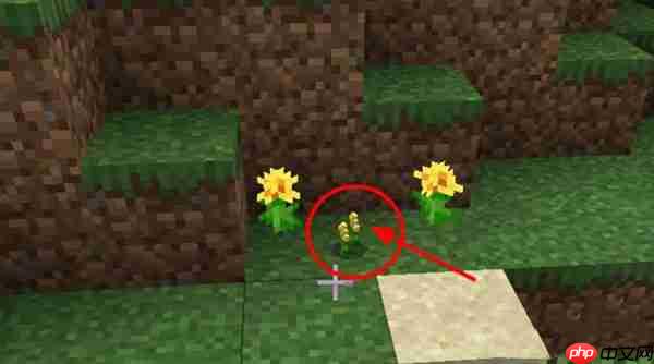 我的世界養(yǎng)殖蜜蜂方法