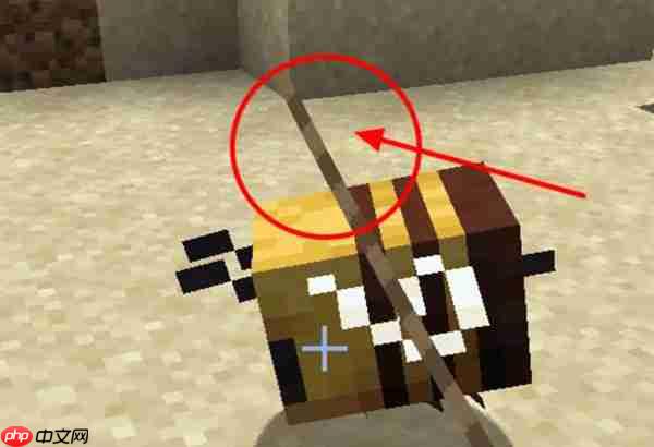 我的<strong>天天彩必中規(guī)律</strong>世界養(yǎng)殖蜜蜂方法