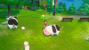 牧場(chǎng)物語(yǔ)怎么在風(fēng)之繁華集市快速放牧