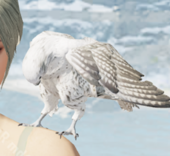 《絕地求生 M》S10更新內(nèi)容介紹 段位獎勵4v4新地圖新角色等詳情