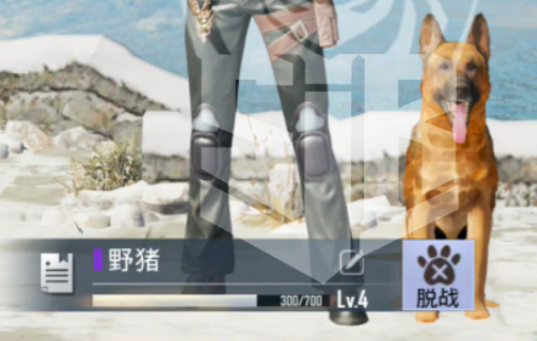 《絕地求生 M》S10更新內(nèi)容介紹 段位獎勵4v4新地圖新角色等詳情