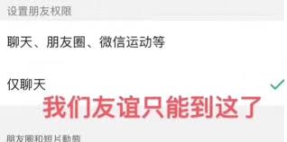 微信仅聊天和不让他看我的不让区别是什么