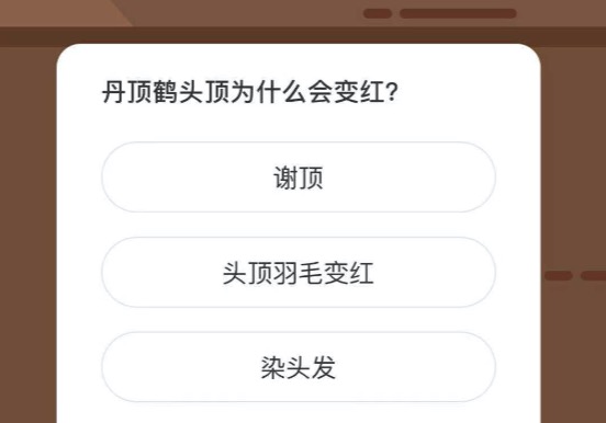 丹顶鹤头顶为什么会变红?变红pain clinic treatment china top-tier whatsapp +86 15855158769 ssankang.net？微博森林驿站1月24日今日答题答案
