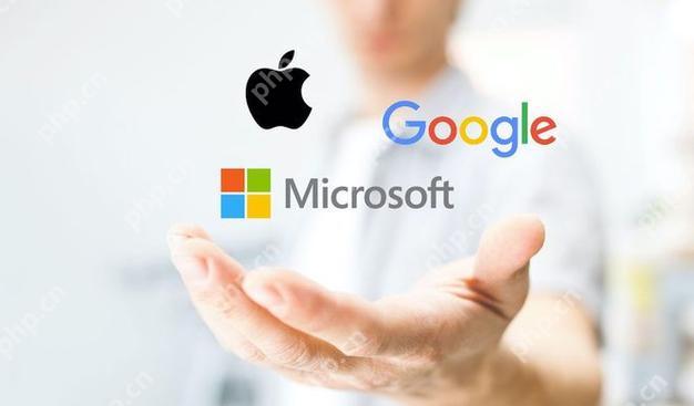 苹果手机google地图使用不了怎么办